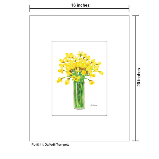 Daffodil Trumpets, Print (#8341A)