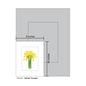 Daffodil Trumpets, Print (#8341A)