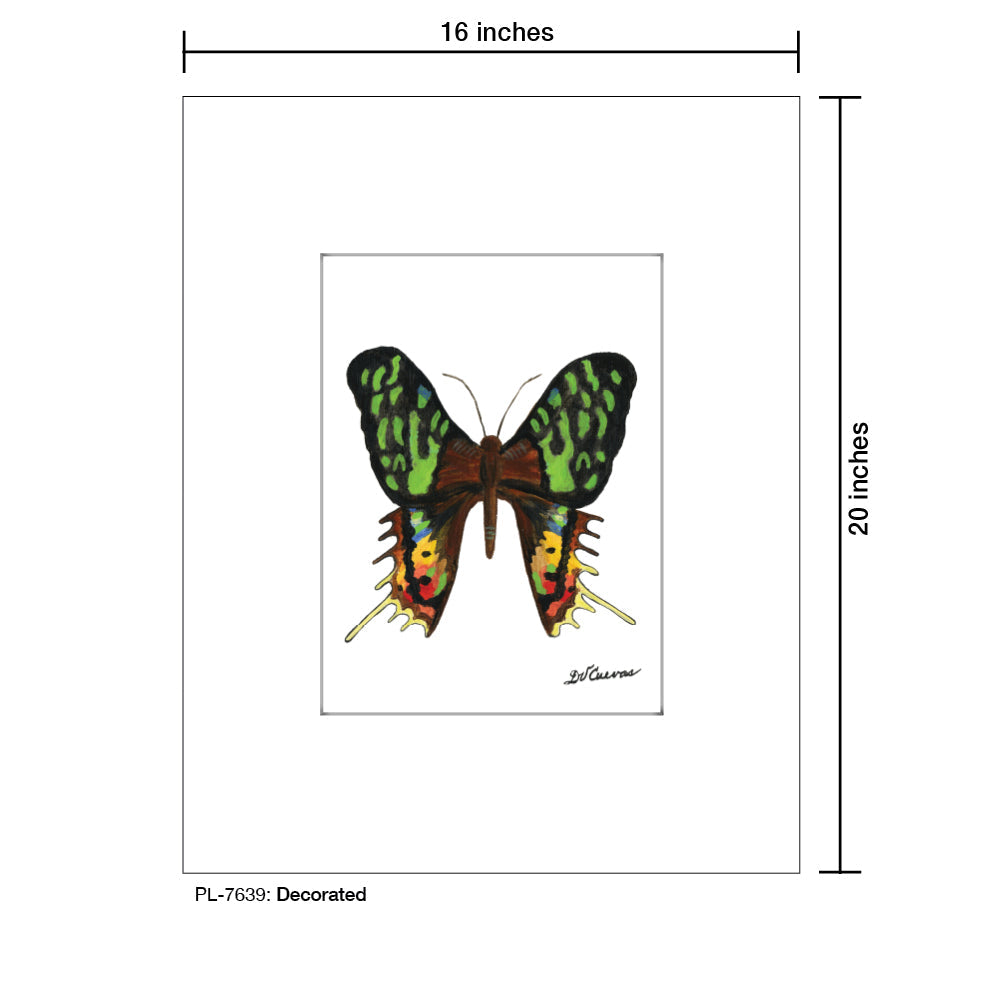 Decorated, Print (#7639B)