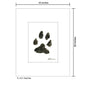 Dog Paw, Print (#8355G)