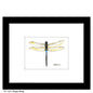 Dragon Wings, Print (#7620C)