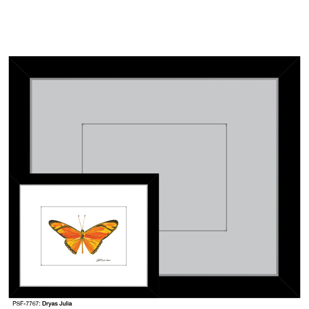 Dryas Julia, Print (#7767B)