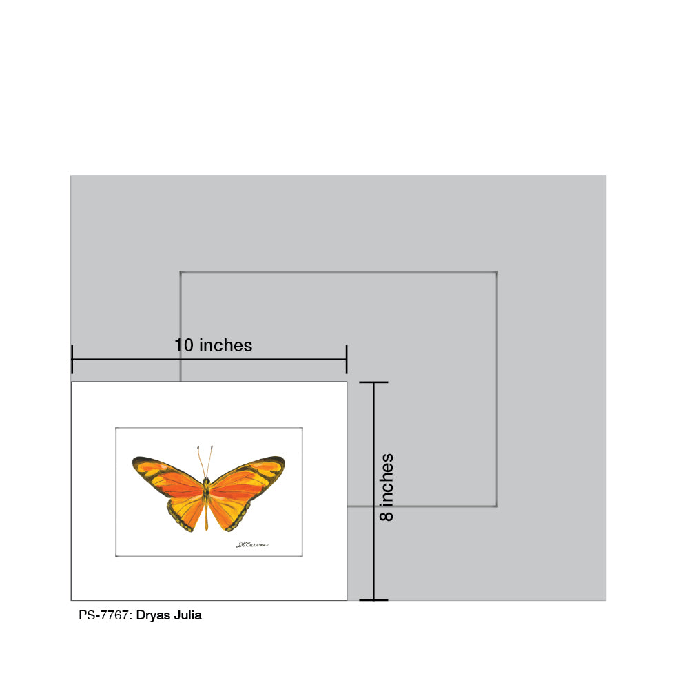 Dryas Julia, Print (#7767B)