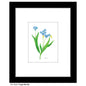 Forget Me Not, Print (#8334F)
