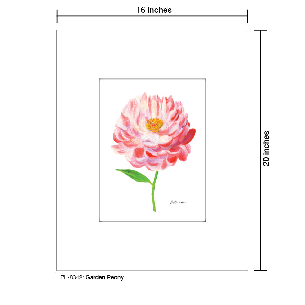 Garden Peony, Print (#8342B)