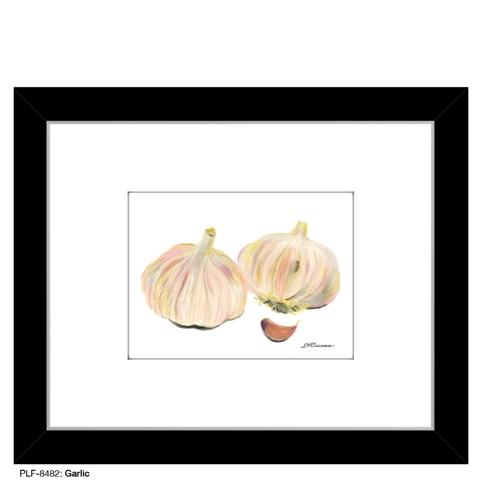 Garlic, Print (#8482A)