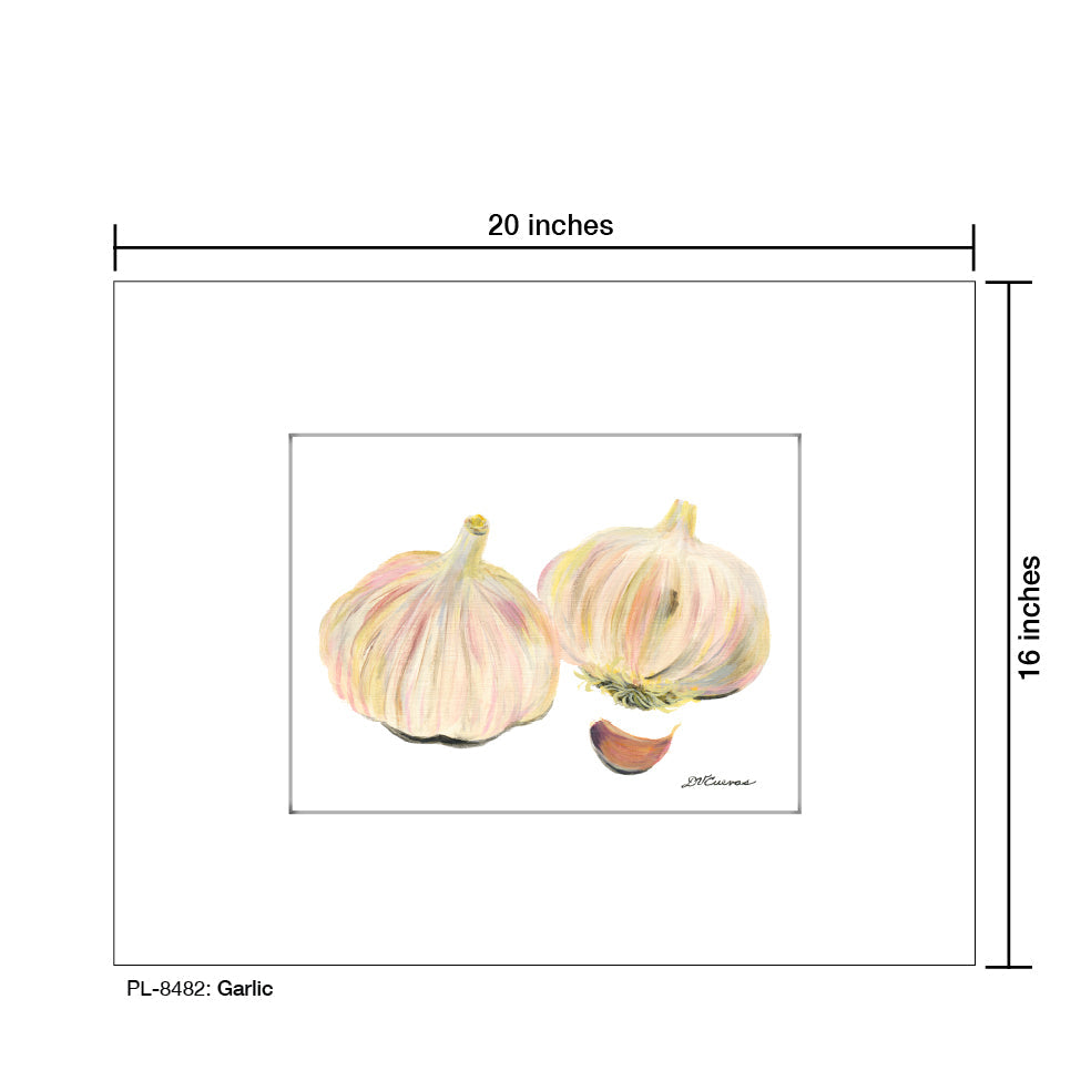Garlic, Print (#8482A)