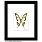 Graphium Cloanthus Sumatranum, Print (#7773A)