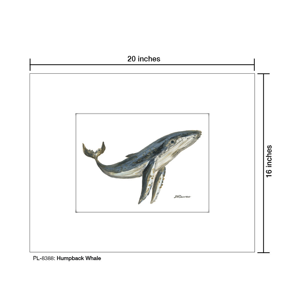 Humpback Whale, Print (#8388B)