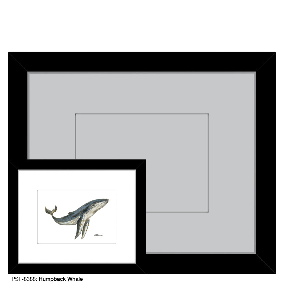 Humpback Whale, Print (#8388B)