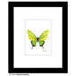 Iridescent Butterfly, Print (#8673D)