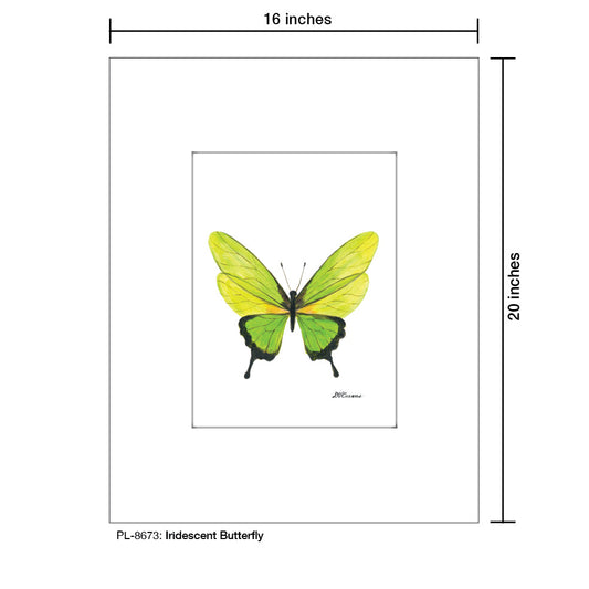 Iridescent Butterfly, Print (#8673D)