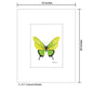 Iridescent Butterfly, Print (#8673D)