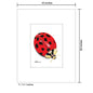Ladybug, Print (#7583A)