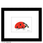 Ladybug Side, Print (#8300B)