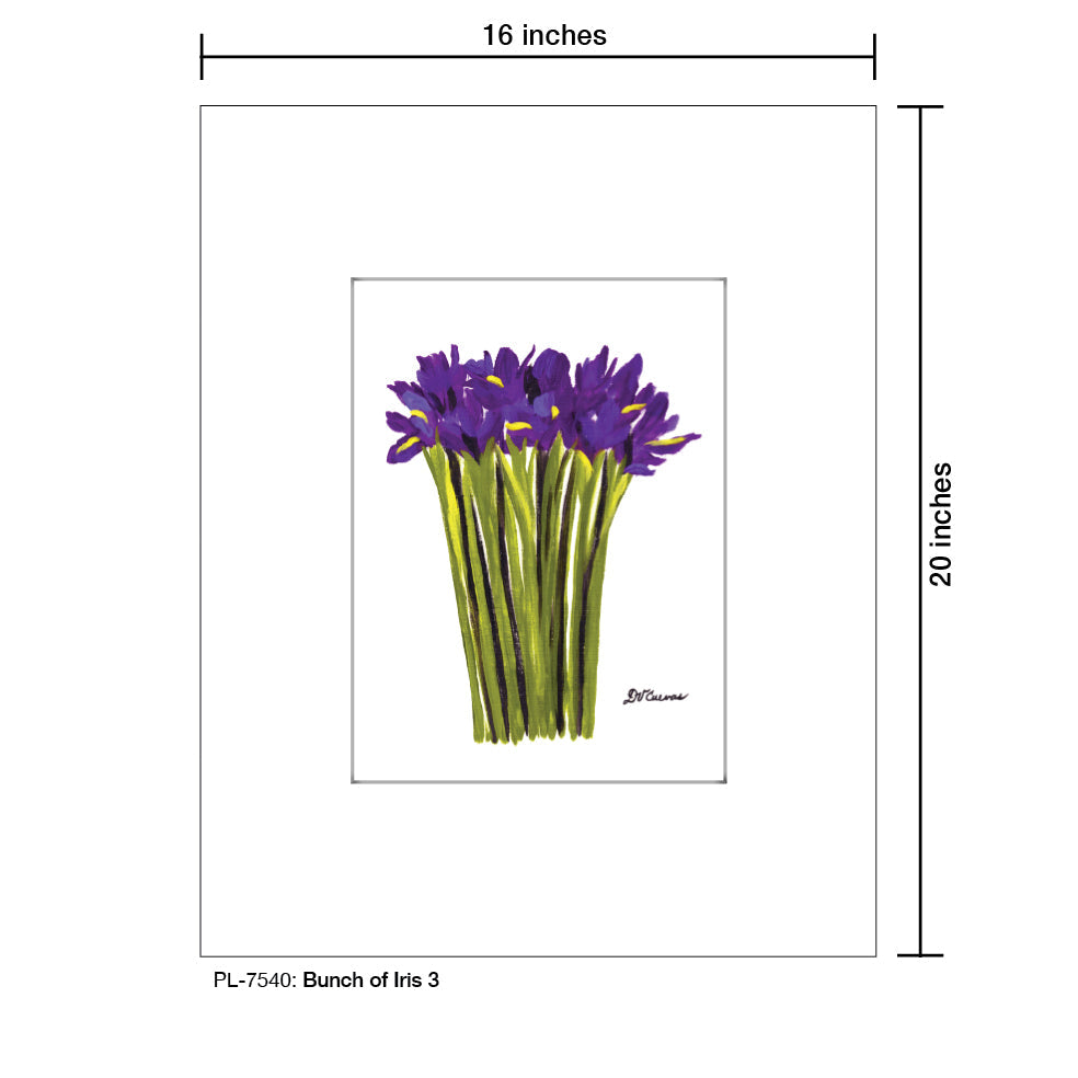 Bunch of Iris 3, Print (#7540A)