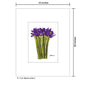 Bunch of Iris 3, Print (#7540A)