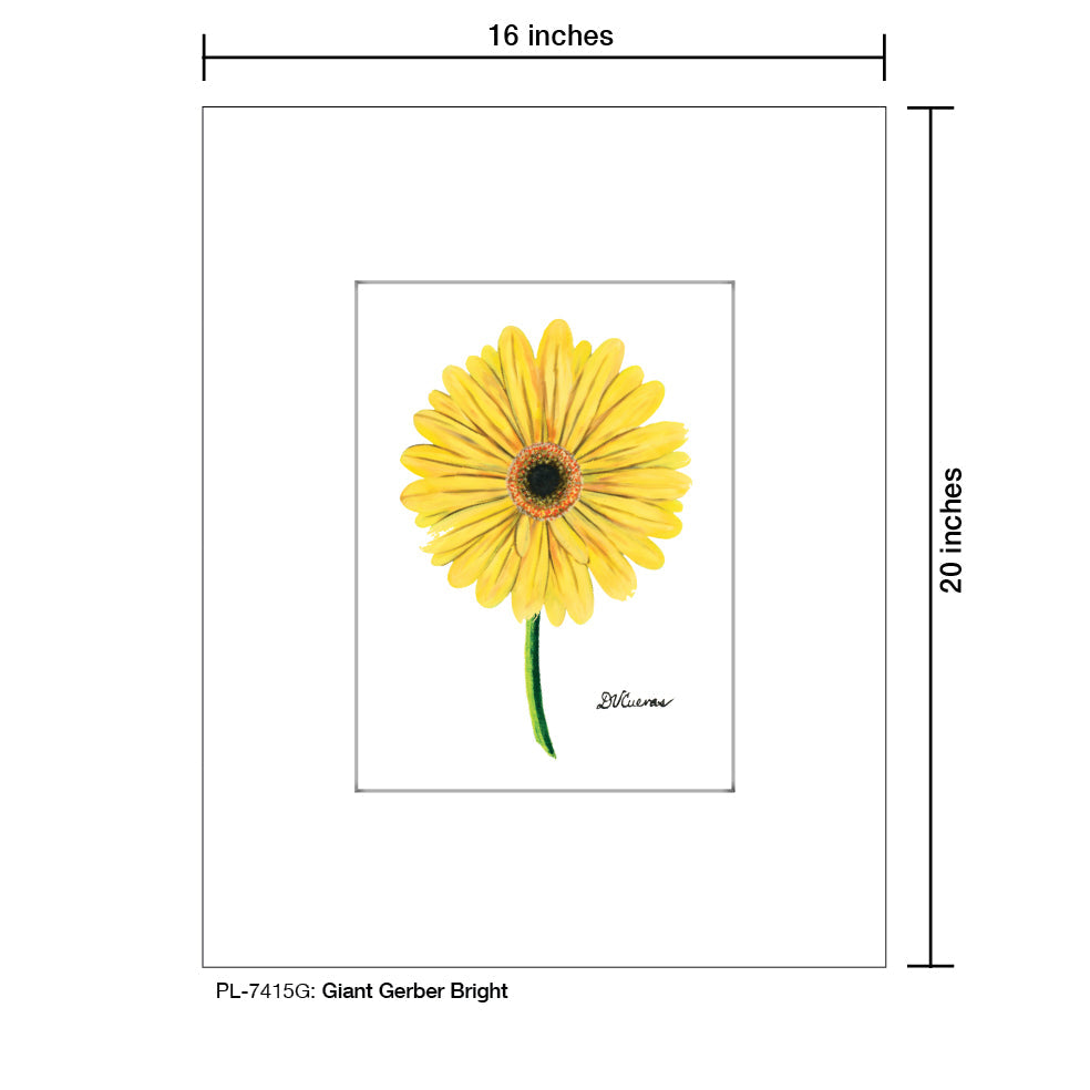 Giant Gerber Yellow, Print (#7417G)