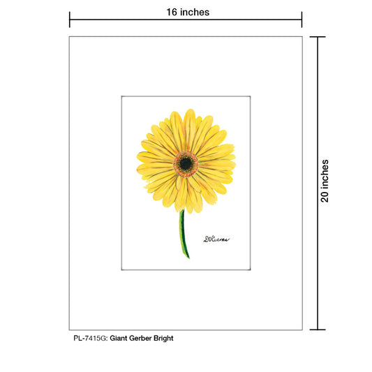 Giant Gerber Yellow, Print (#7417G)