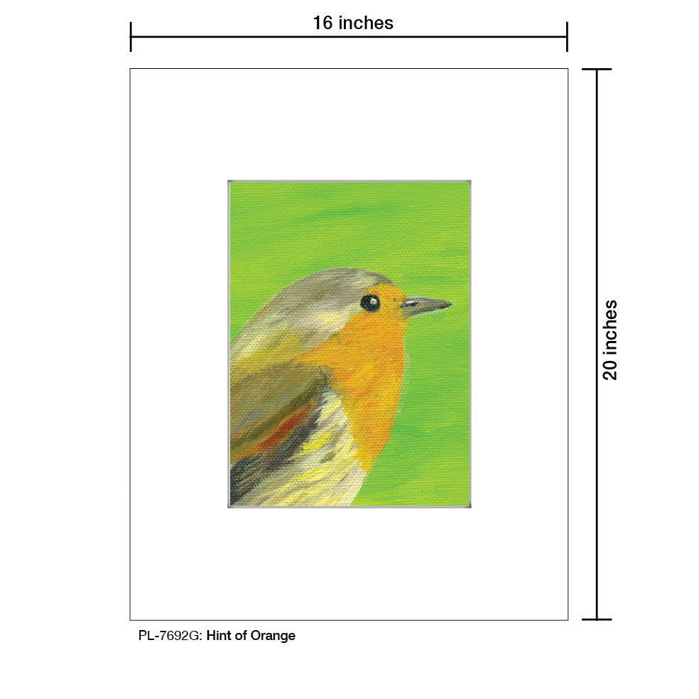 Hint of Orange, Print (#7692G)