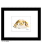 Lop Ears, Print (#7764D)