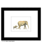 Mother & Baby Elephant, Print (#8359C)