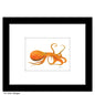 Octopus, Print (#8266B)