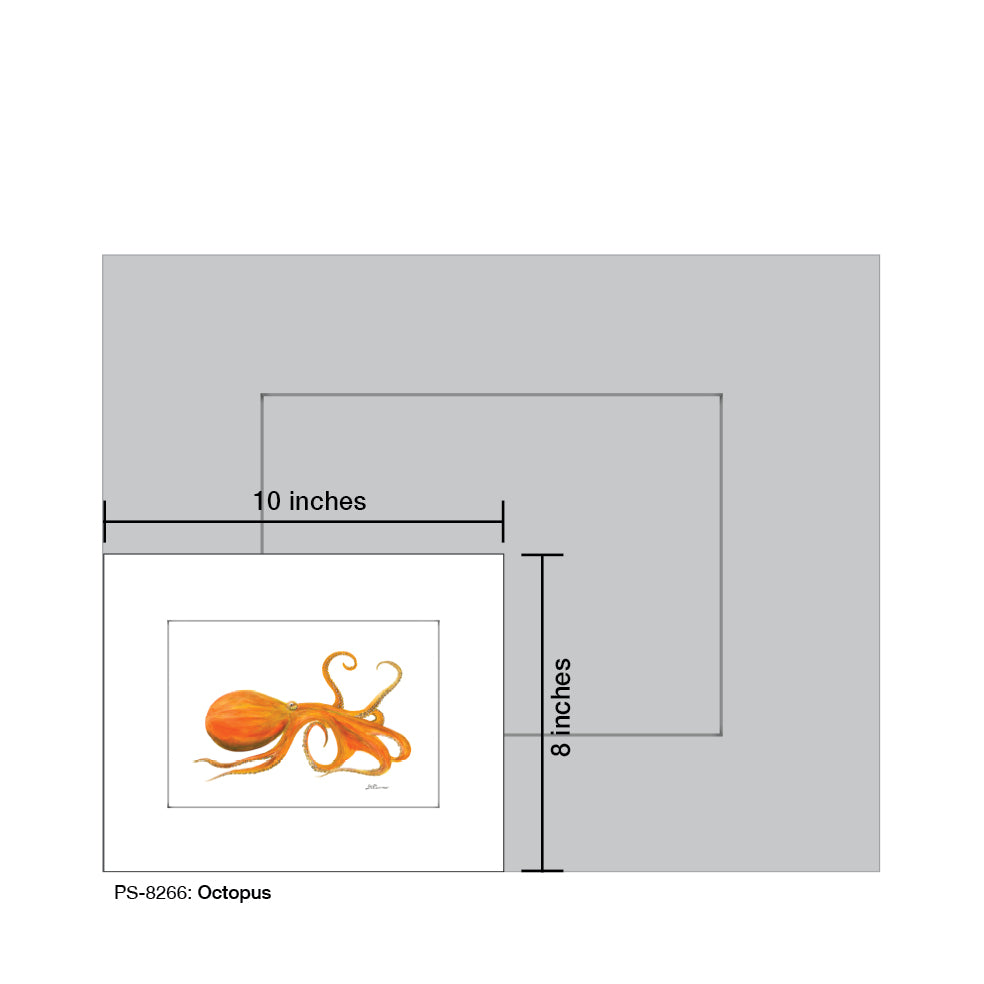 Octopus, Print (#8266B)