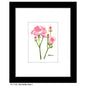 Old Garden Rose 1, Print (#7380A)