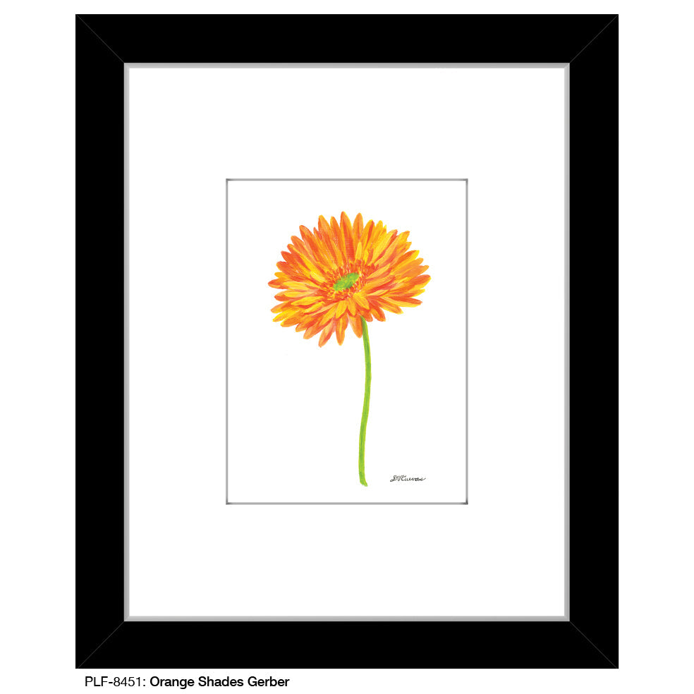 Orange Shades Gerber, Print (#8451A)