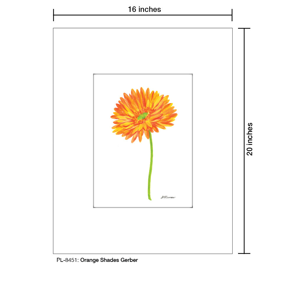 Orange Shades Gerber, Print (#8451A)