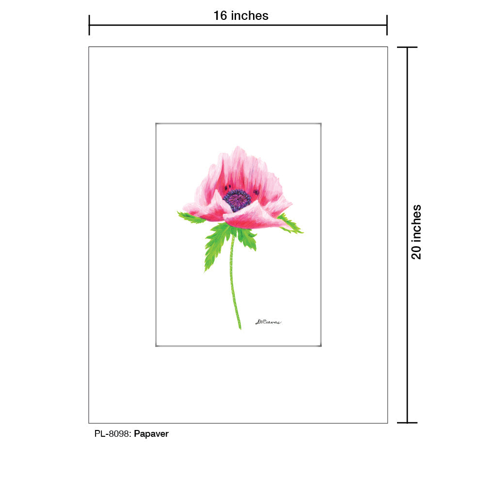 Papaver, Print (#8098C)