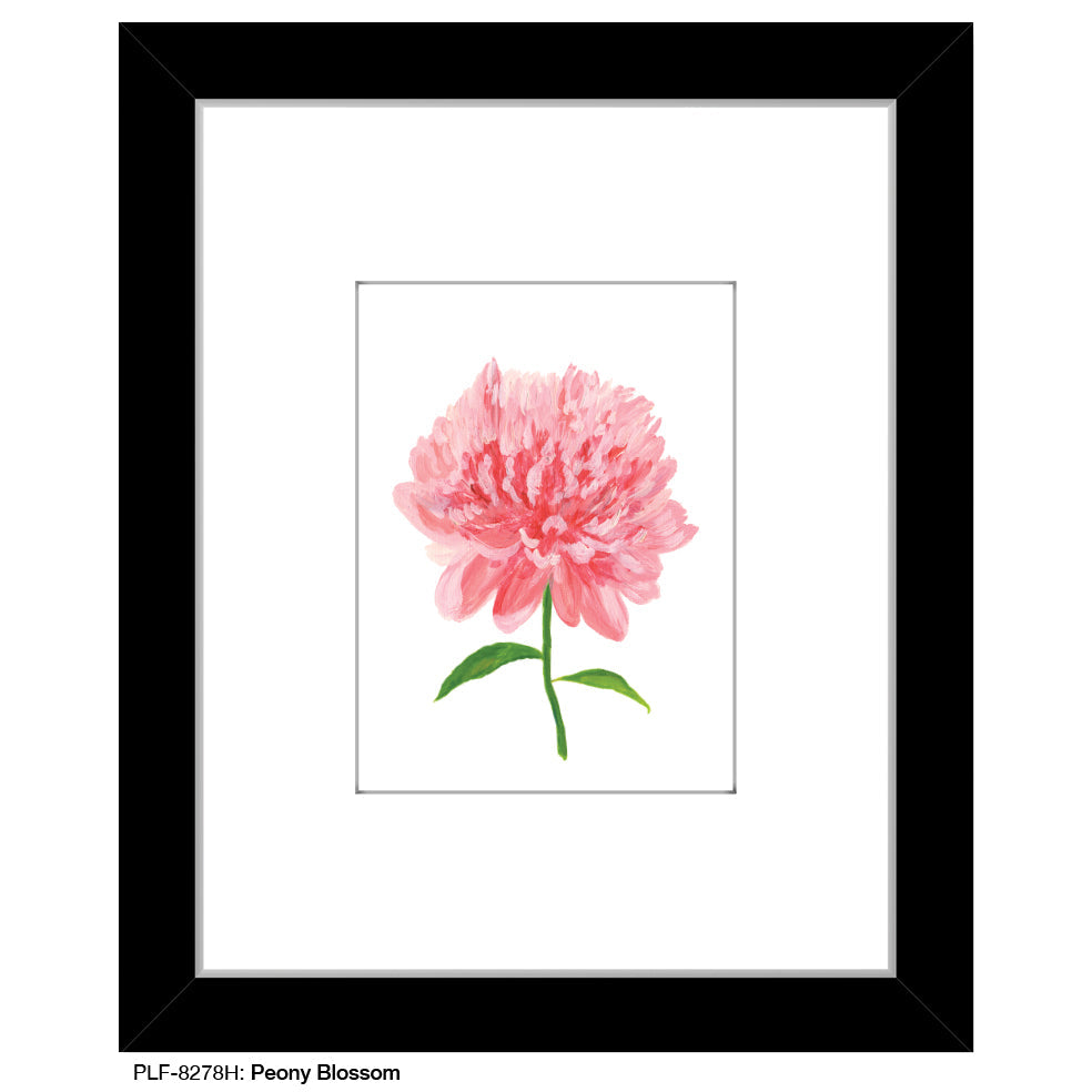 Peony Blossom, Print (#8278H)