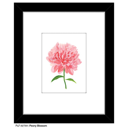 Peony Blossom, Print (#8278H)