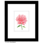 Peony Blossom, Print (#8278H)