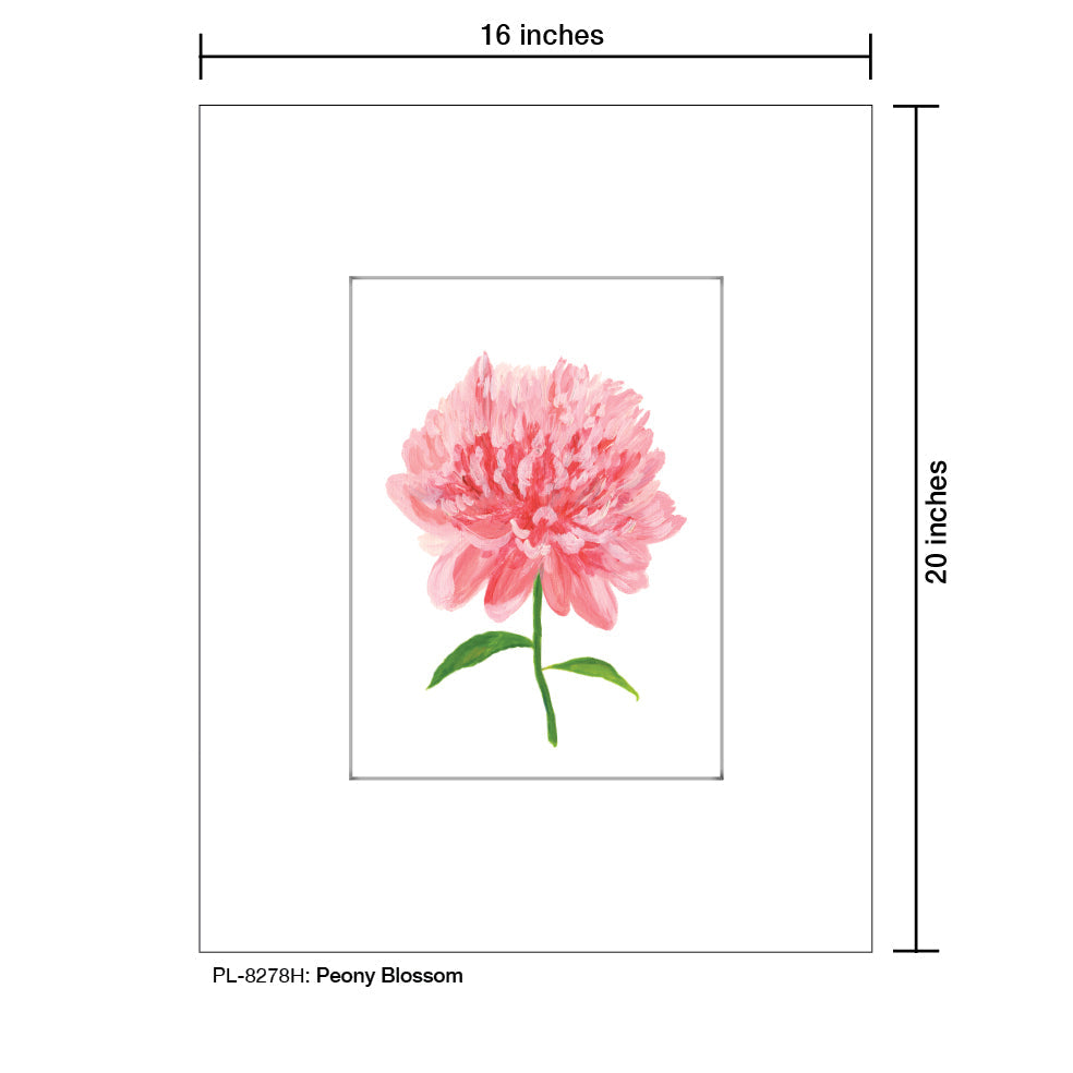 Peony Blossom, Print (#8278H)