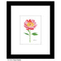 Peony Claudia, Print (#8345A)