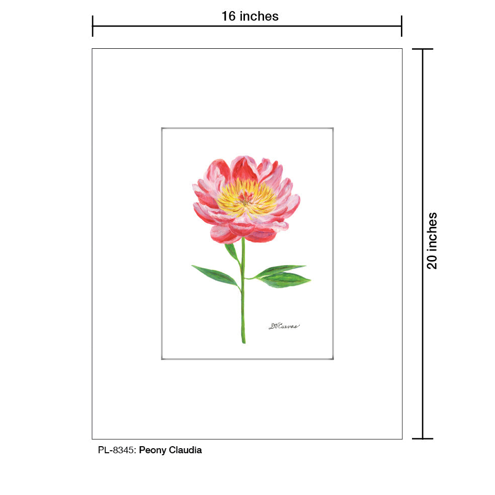 Peony Claudia, Print (#8345A)