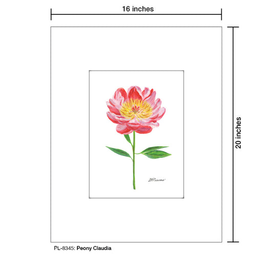 Peony Claudia, Print (#8345A)