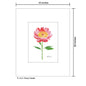 Peony Claudia, Print (#8345A)
