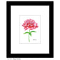 Peony Fuchsia, Print (#7831A)