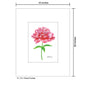 Peony Fuchsia, Print (#7831A)