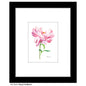 Peony Full Bloom, Print (#8343B)