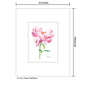 Peony Full Bloom, Print (#8343B)