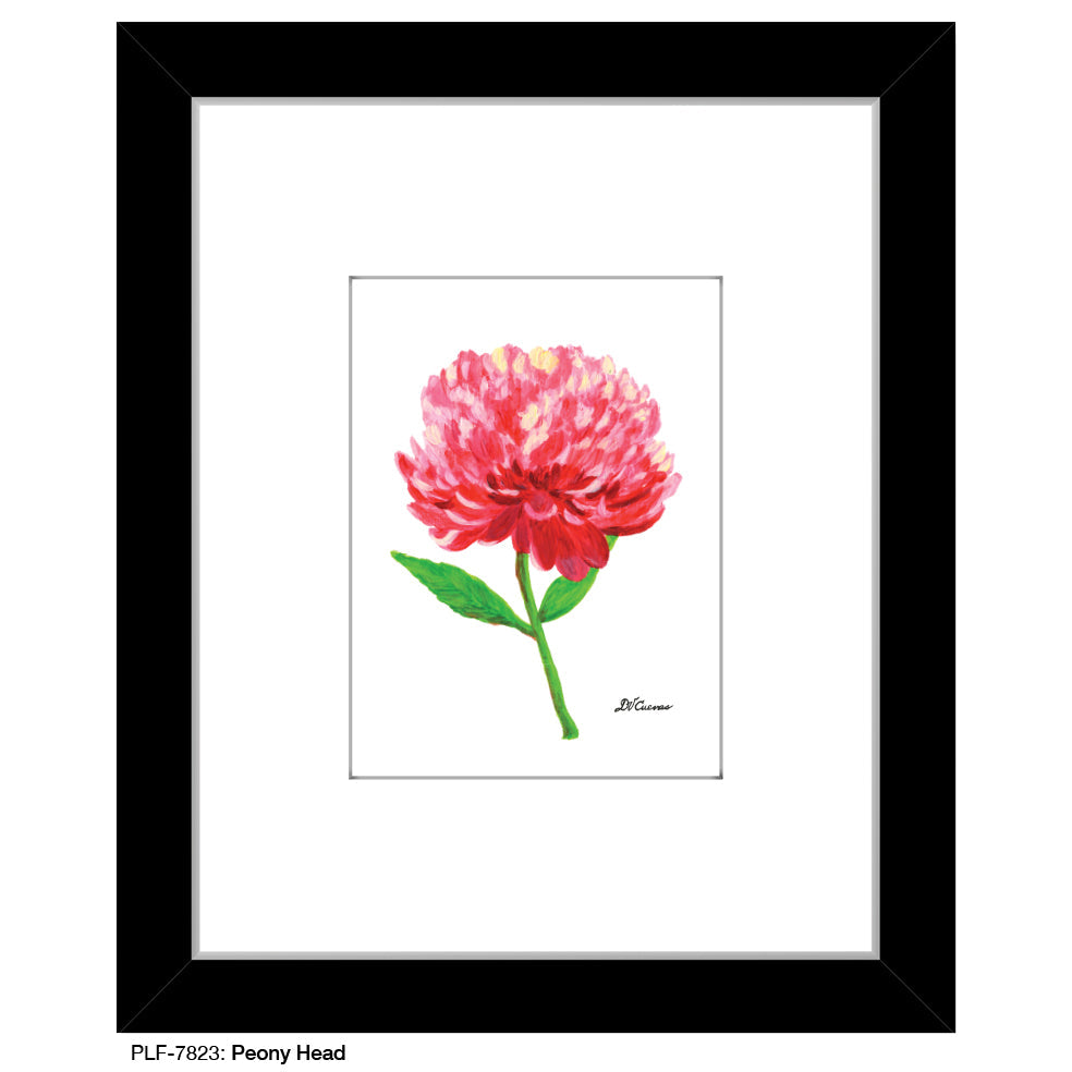 Peony Head, Print (#7823A)