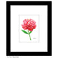 Peony Head, Print (#7823A)