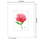 Peony Head, Print (#7823A)