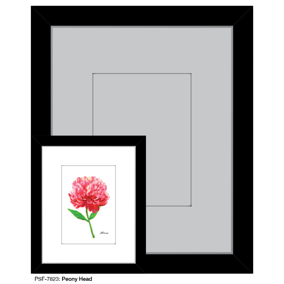 Peony Head, Print (#7823A)