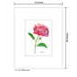 Peony Lean, Print (#7822A)