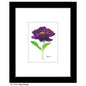 Peony Purple, Print (#7832A)
